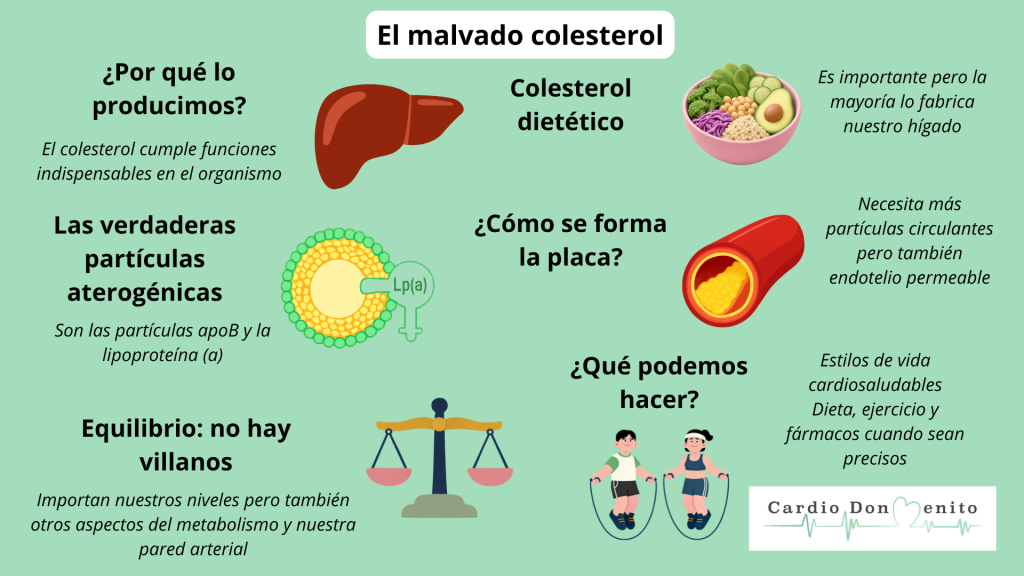 El colesterol es malo para tus arterias dependiendo de las partículas circulantes y de la permeabilidad de tus arterias