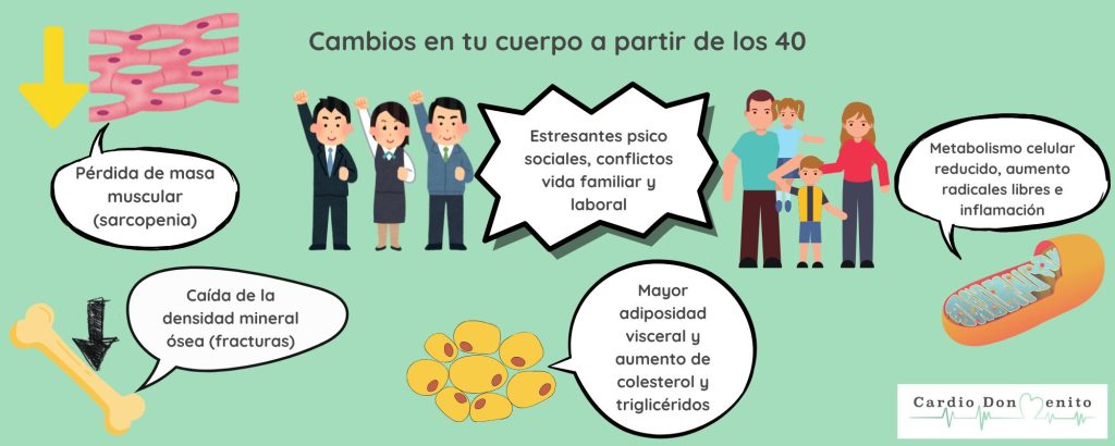 Infografía de cambios en tu cuerpo a partir de los 40