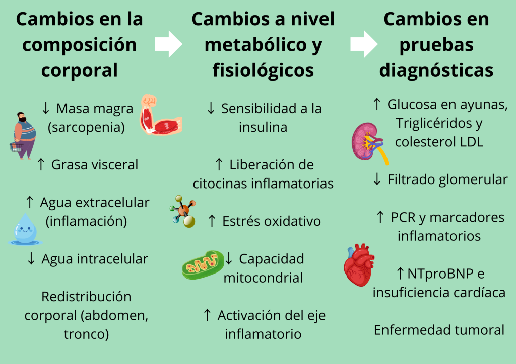 Los cambios en la composición corporal son los primeros
